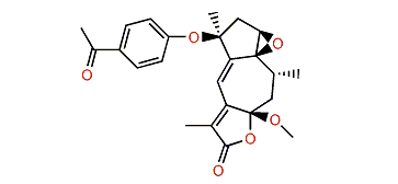 Menverin H